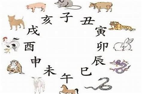 猪和蛇|猪蛇相冲怎么破？